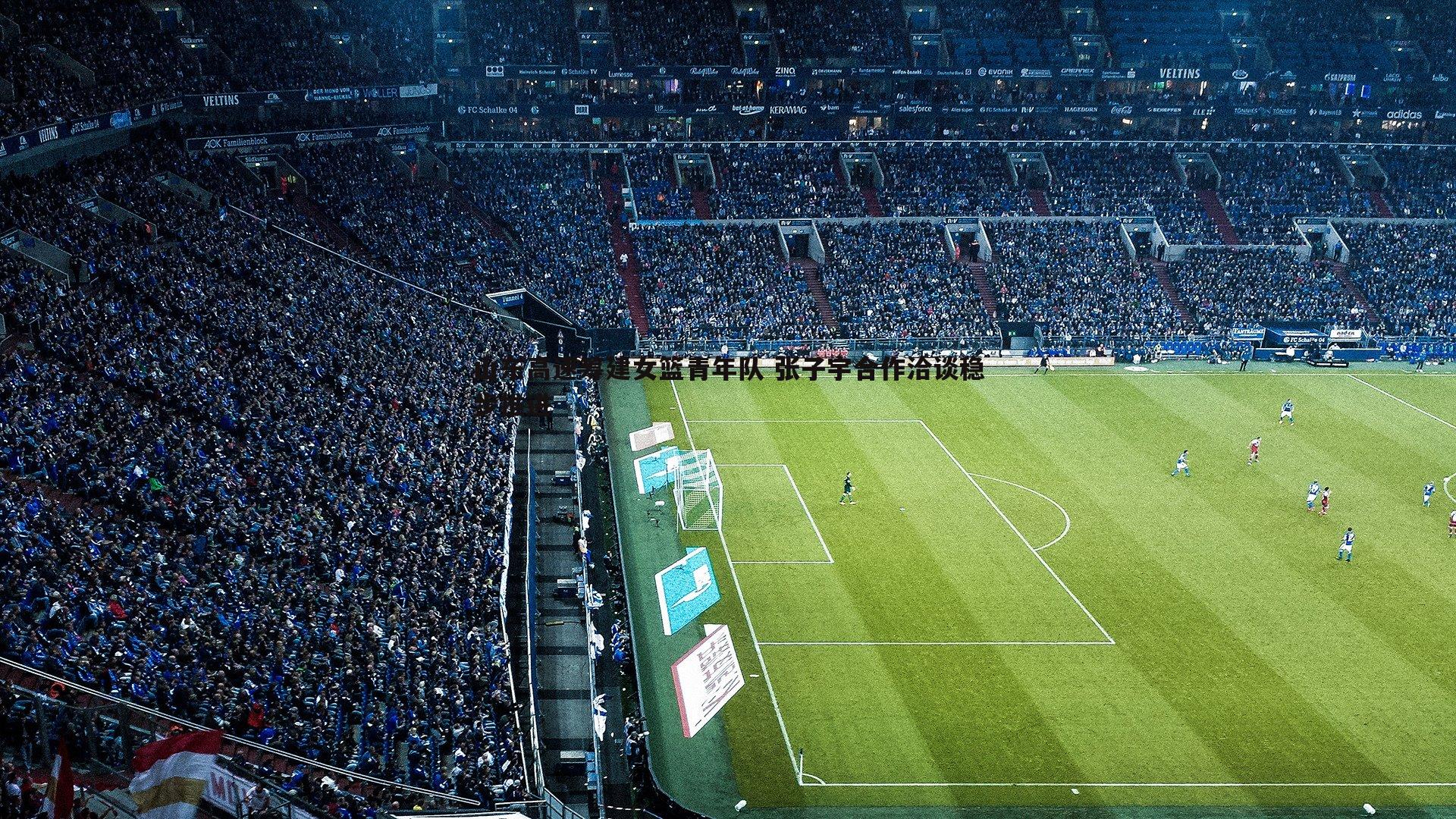 山东高速筹建女篮青年队 张子宇合作洽谈稳步推进