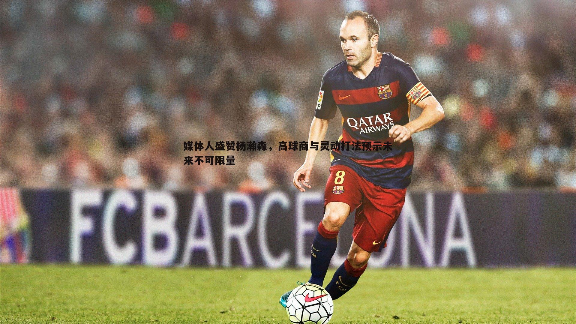 媒体人盛赞杨瀚森,高球商与灵动打法预示未来不可限量